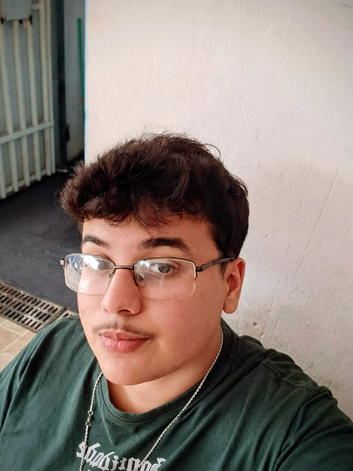 Felipe Alves Rodrigues - Desenvolvedor Web em Marília